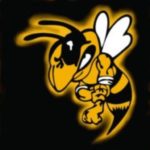 https://www.enumclawjrhornets.com/wp-content/uploads/sites/1117/2018/02/cropped-Jr_Hornet_Logo-e1519858307793.jpg